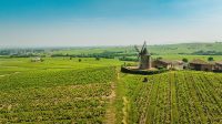 domaines-loron-champ-de-cour-vin-rouge-moulin-vent-75cl image 5