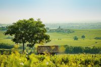 domaines-loron-h-ritiers-moulin-vent-vin-rouge-la-rochelle-75-cl image 5