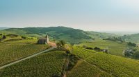 domaines-loron-montgenas-bellevue-vin-rouge-morgon-75cl image 5