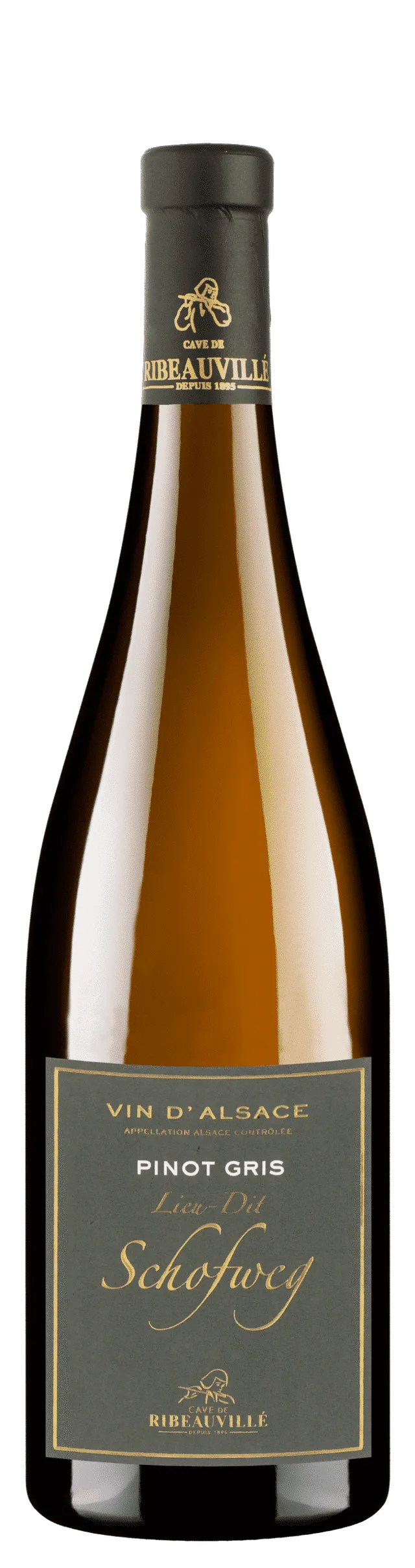 cave-de-ribeauvill-schofweg-pinot-gris-blanc-75cl-sec image 1