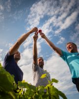 domaines-loron-les-obstin-s-vin-rouge-beaujolais-villages-75cl image 5