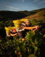 domaines-loron-les-obstin-s-vin-rouge-beaujolais-villages-75cl image 3