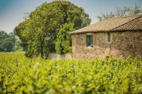 domaines-loron-clos-des-billards-vin-rouge-saint-amour-magnum-150cl image 3